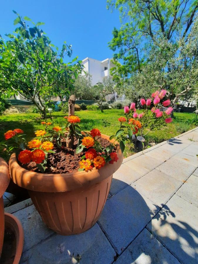 Apartment Noa'S Garden بيبينيا المظهر الخارجي الصورة