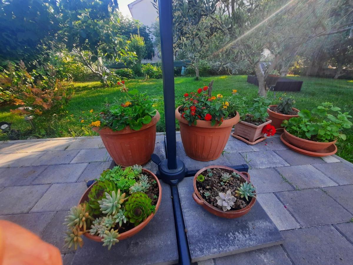 Apartment Noa'S Garden بيبينيا المظهر الخارجي الصورة
