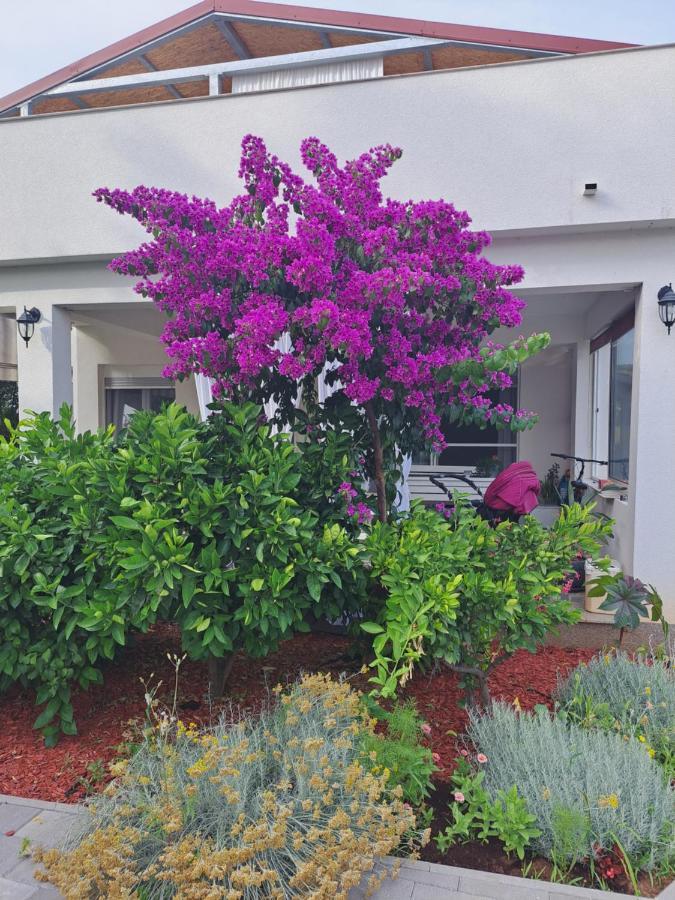 Apartment Noa'S Garden بيبينيا المظهر الخارجي الصورة
